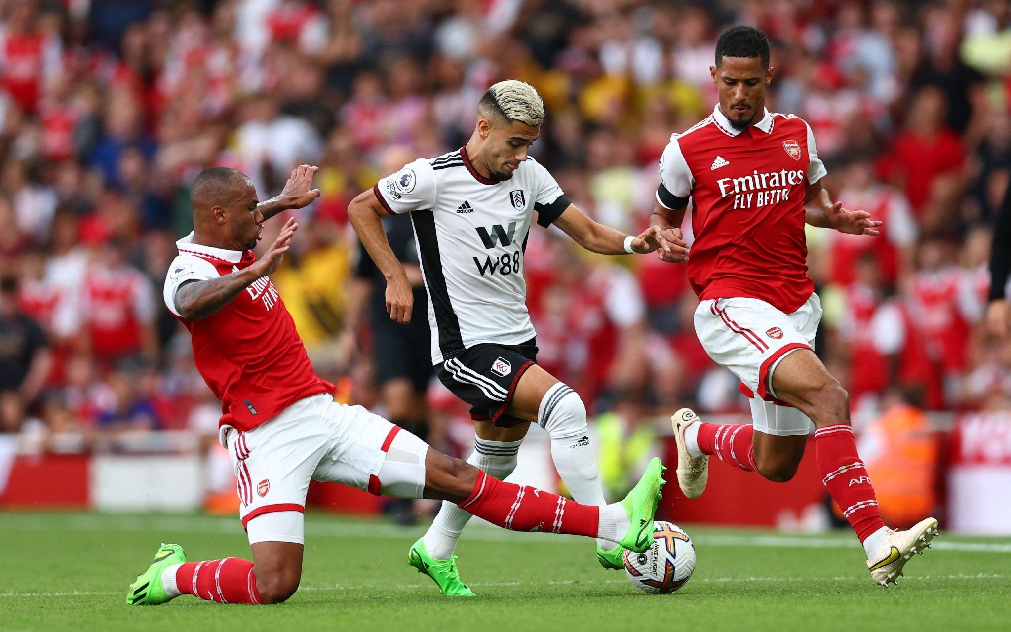 性与竞争力 性与竞争力